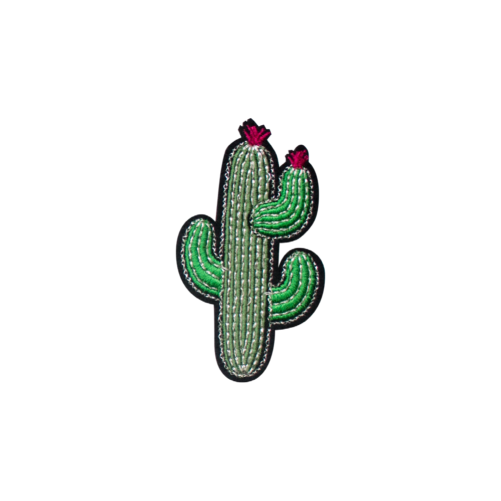 Application Cactus PA5/080/C1/19O